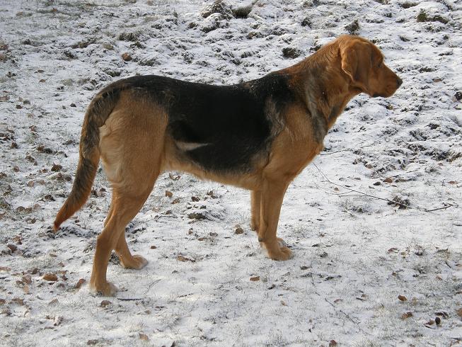 JARA 03.01.2010.m.JPG