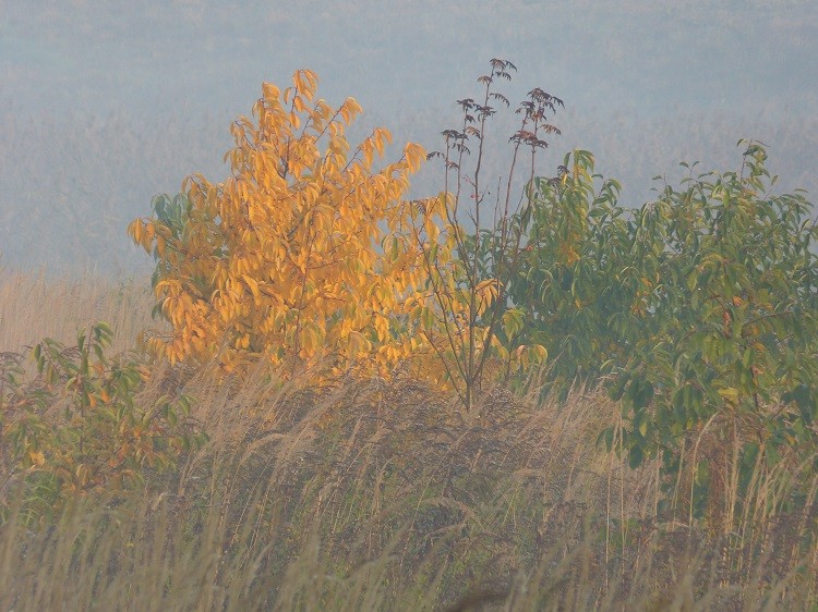 kolorowy świat