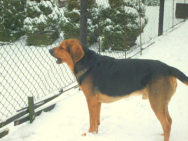 KUSIACZEK STYCZEN 2010 008.jpg
