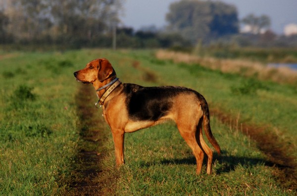 DSC_1504.JPG