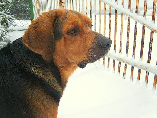 KUSIACZEK STYCZEN 2010 012.jpg