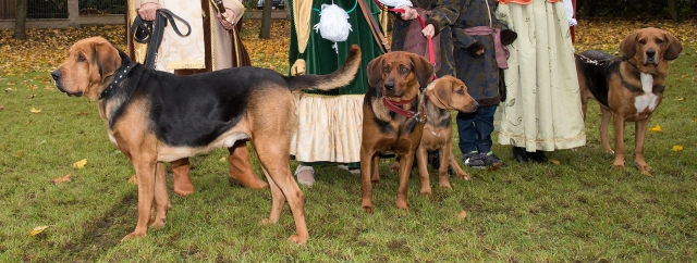 DSC_4211ko.jpg