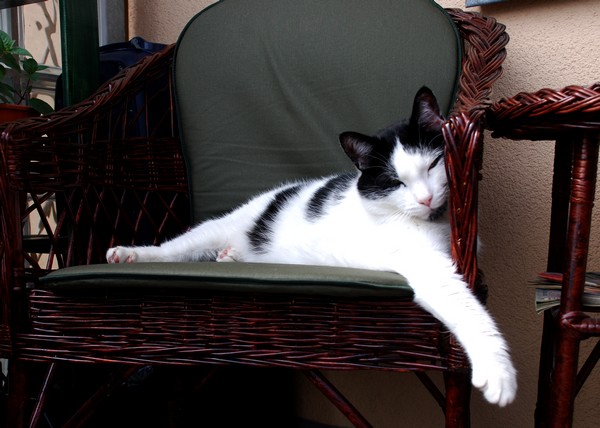 DSC_2487.JPG