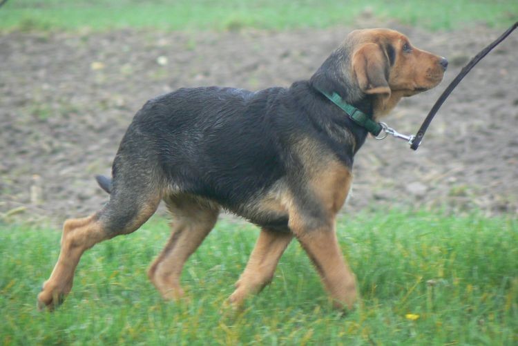 maly04.080015.jpg