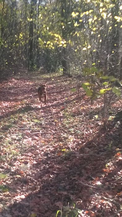 WP_20171105_11_30_27_Pro.jpg