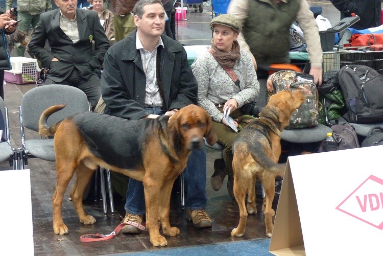 Pańciostwo