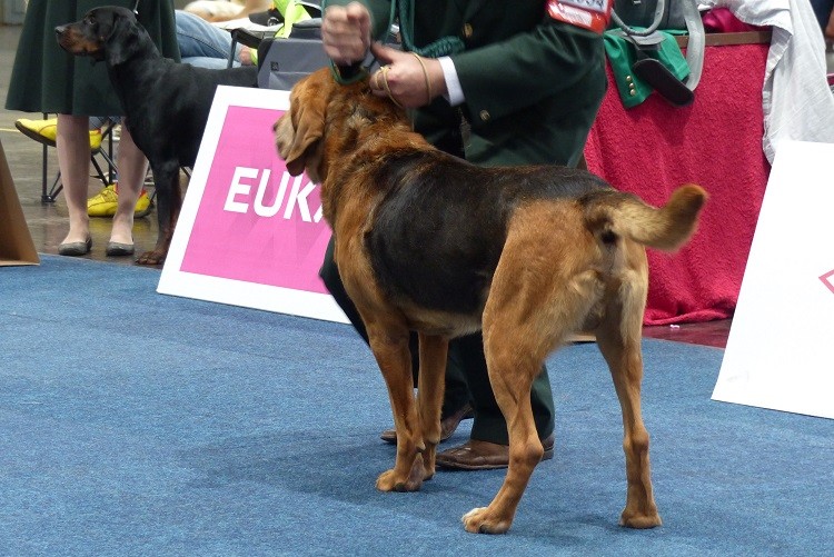 P1100243zm.JPG