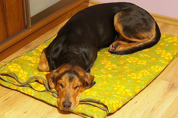 IMGP3995.jpg