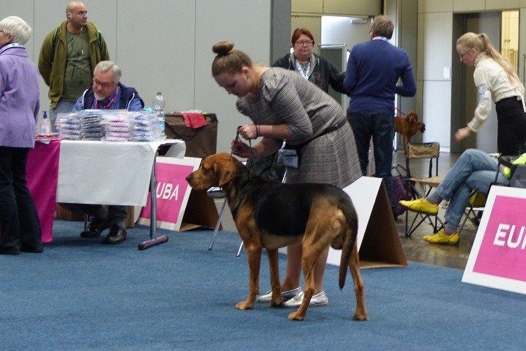 P1100253zm.JPG