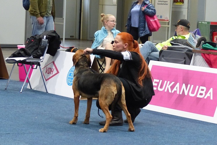 P1100273zm.JPG