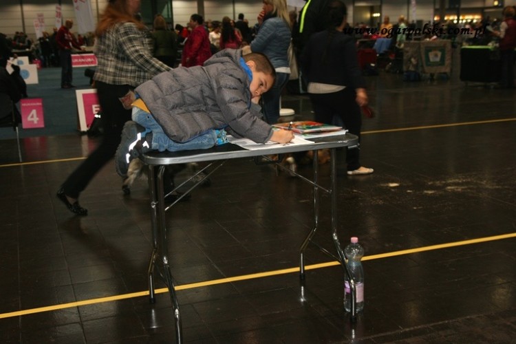 Do czego może służyć stolik trymerski :).