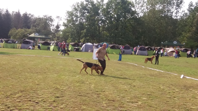 Klubówka 2017 z TABUNEM 035.jpg