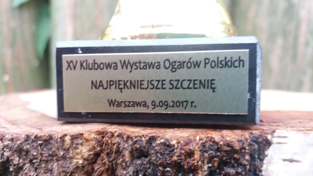 Klubówka 2017 z TABUNEM 152.jpg