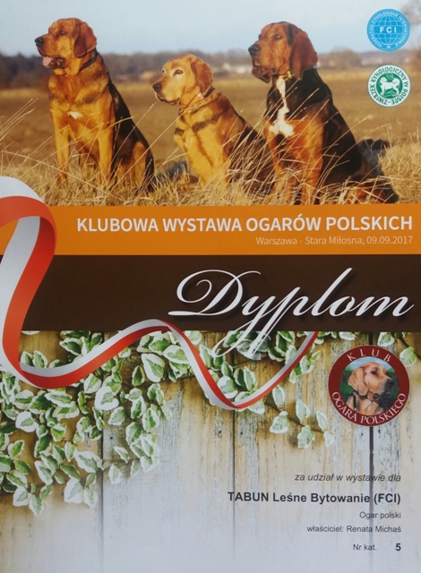 Klubówka 2017 z TABUNEM 155.jpg