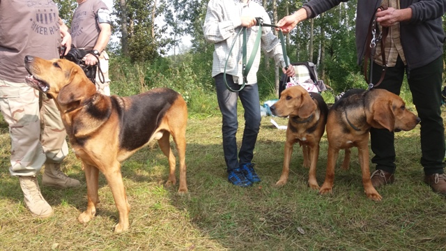 Klubówka 2017 z TABUNEM 012.jpg