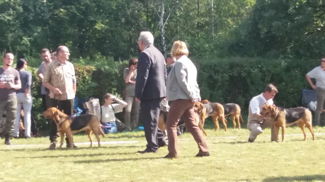 Klubówka 2017 z TABUNEM 103.jpg