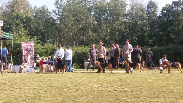 Klubówka 2017 z TABUNEM 106.jpg