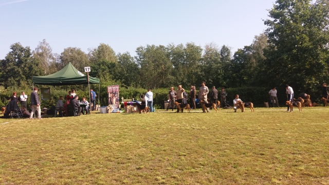 Klubówka 2017 z TABUNEM 107.jpg