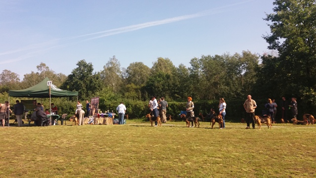 Klubówka 2017 z TABUNEM 137.jpg