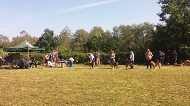 Klubówka 2017 z TABUNEM 138.jpg