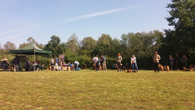 Klubówka 2017 z TABUNEM 139.jpg