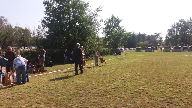 Klubówka 2017 z TABUNEM 140.jpg