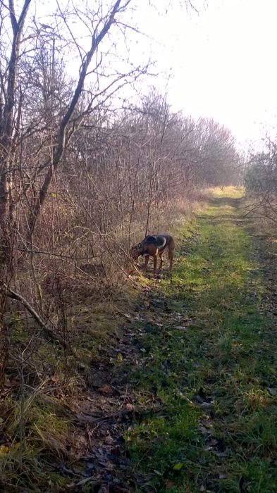 WP_20171125_10_19_09_Pro.jpg