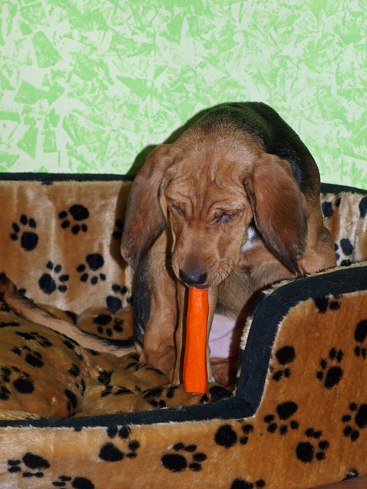 P1091735_edited-1.jpg
