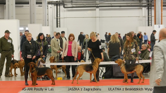8-1- AS-ANI Poszły w Las JASZKA z Zagrajboru ULATNA z BW.jpg