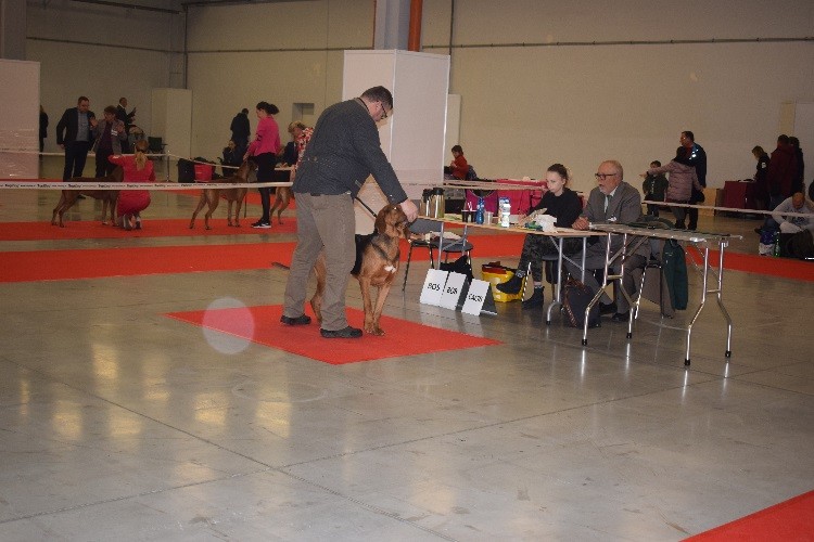 8_NA RINGU _OGI 72.jpg