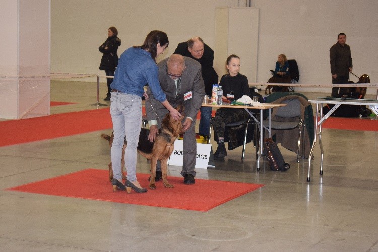 12_NA RINGU_ROSA Gra z Wiatrem.jpg