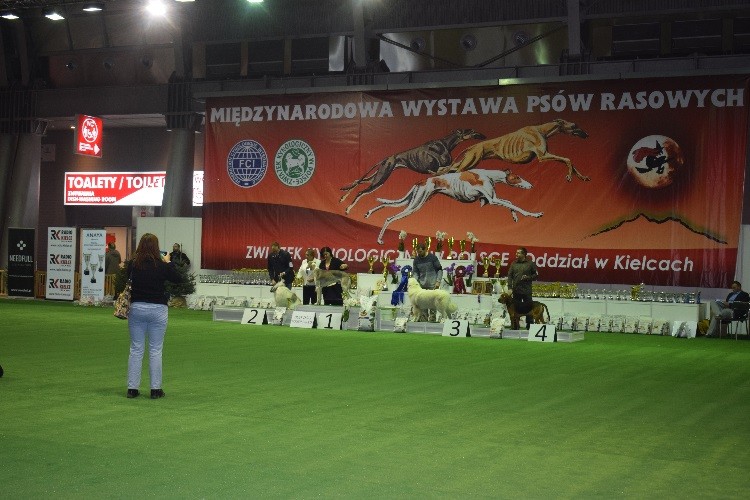 24_FINAŁY RASY POLSKIE .jpg