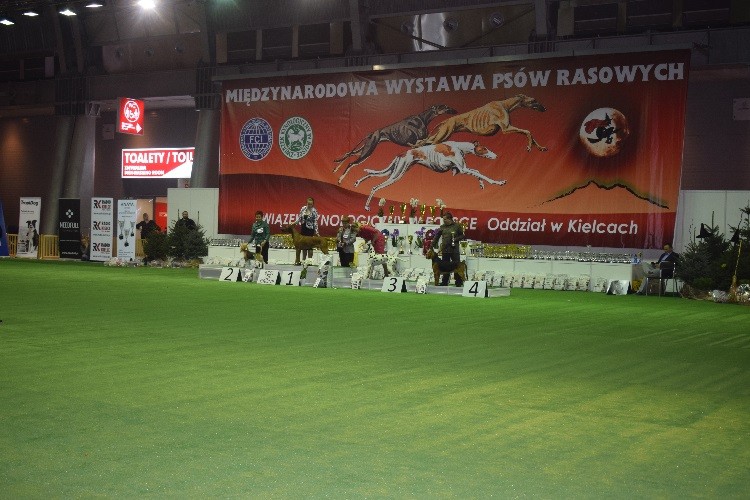 25_FINAŁY GRUPA VI.jpg