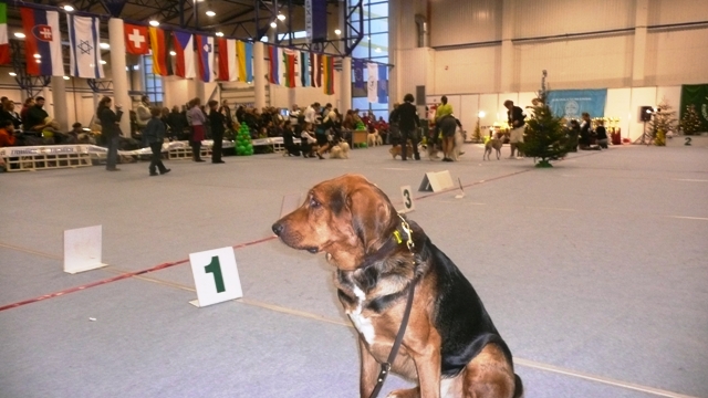 Elegant w Wilonie 12-2009.JPG