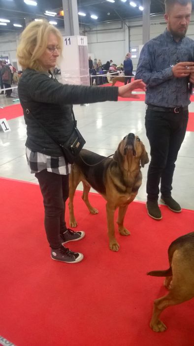 WP_20171126_12_13_53_Pro.jpg