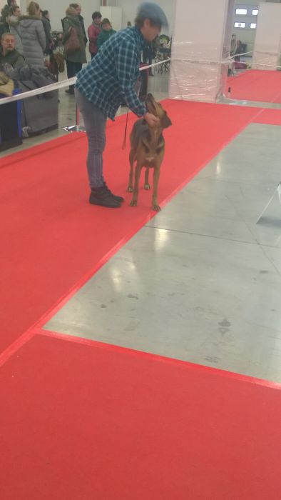 Nadzieja Sfora Nestora
