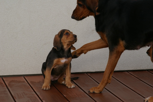 IMGP2720.JPG