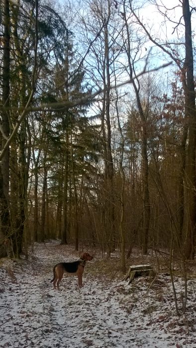 WP_20171210_15_01_55_Pro.jpg