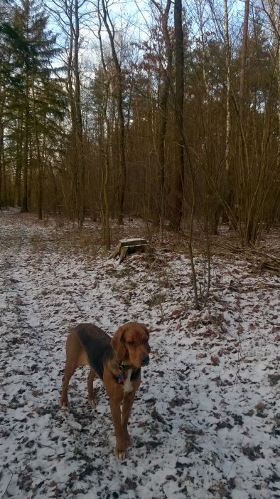 WP_20171210_15_02_10_Pro.jpg