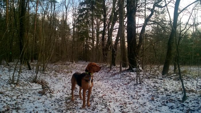 WP_20171210_15_03_19_Pro.jpg