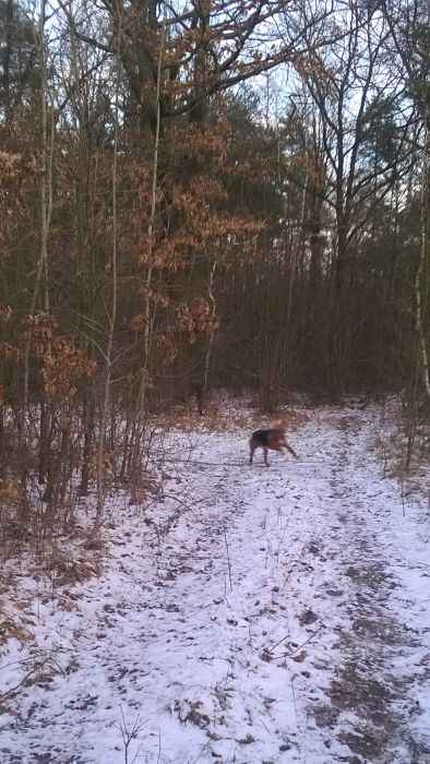 WP_20171210_15_14_02_Pro.jpg