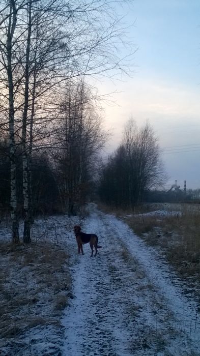 WP_20171210_15_26_26_Pro.jpg