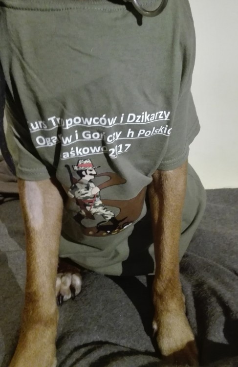 Ale koszulka branżowa :)