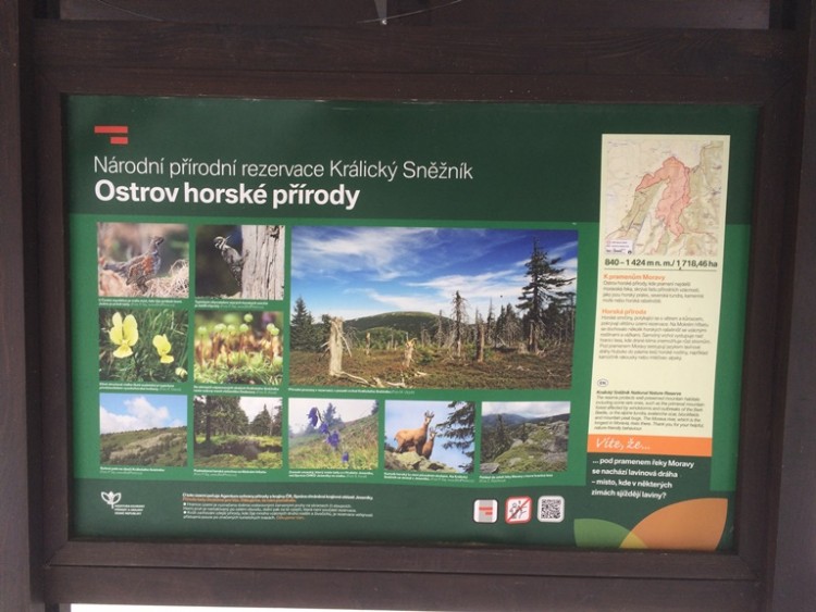 Okolice które przemierzaliśmy.