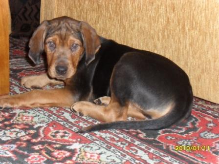 Cynia w nowym domu:-)