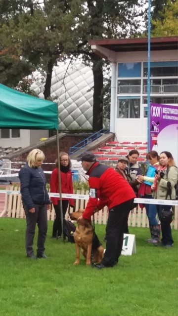 XXV Międzynar. Wyst.W-w TABUN,TAJGA,HAŃCZA 218.jpg