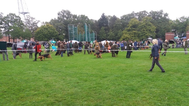 XXV Międzynar. Wyst.W-w TABUN,TAJGA,HAŃCZA 317.jpg