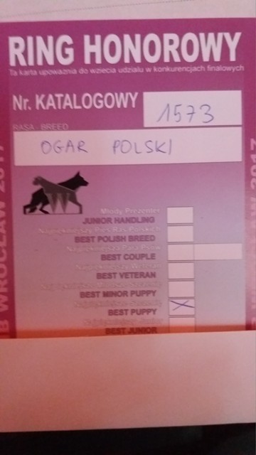 XXV Międzynar. Wyst.W-w TABUN,TAJGA,HAŃCZA 411.jpg