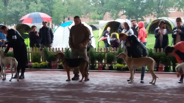 XXV Międzynar. Wyst.W-w TABUN,TAJGA,HAŃCZA 457.jpg
