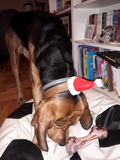 20171224_173543.jpg